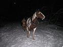 Bielice_Ladek_dec_2007 (29)